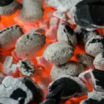 Для чого потрібен попіл, і як його ефективно використовувати в…