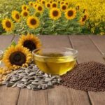 Воєнний удар по українському нафторинку: соя й ріпак не компенсують&hellip;