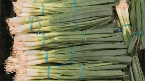 Цибулева муха обминає мій город. Все через невеличкий секрет.