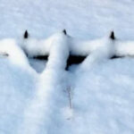 Календар дачника Чим зайнятися у лютому?