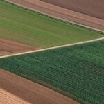 На Луганщині загарбники планують масштабне відбирання земельних ділянок.