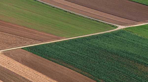 На Луганщині загарбники планують масштабне відбирання земельних ділянок.