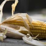 Кукурудзяний фрахт з України дешевшає на старті лютого.