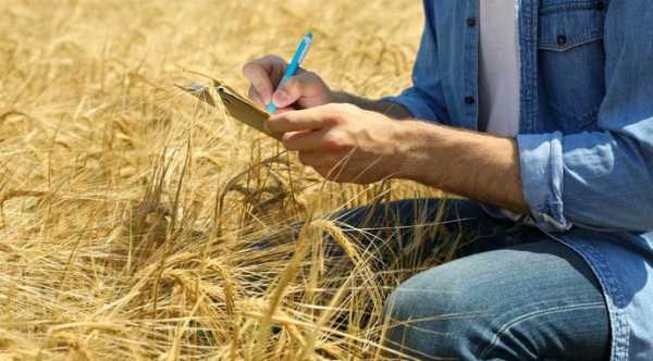 В Україні розпочинається навчальна програма для аграріїв AGRO 360: курс до багатого&hellip;