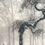 Помилка Да Вінчі: його деревна формула хибна.