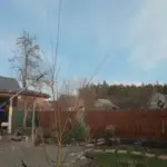 Оптимальний розчин для обприскування і ранній захист від зимуючих шкідників:…