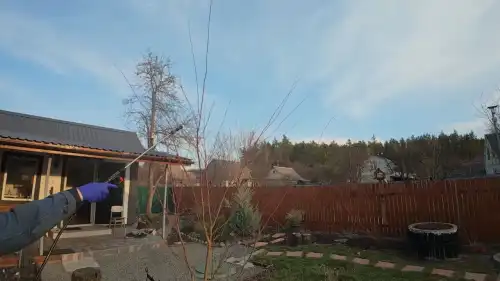 Оптимальний розчин для обприскування і ранній захист від зимуючих шкідників: позбудьтеся до…