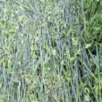 Віктор Філатов: “Природа може багато чого регулювати”, або Дієві підходи&hellip;