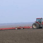 Обробка озимини боронами після зими