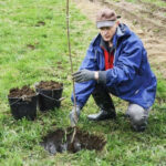 Як упорядкувати присадибну ділянку після зими?