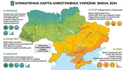Як Полісся перетворилось в Лісостеп, і методи утримання вологи на ділянці