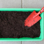 Що робити в саду та городі ранньою весною?