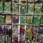 Як визначити якість насіння: залийте його окропом і дивіться на&hellip;