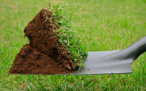 Яка лопата необхідна у дачному господарстві?