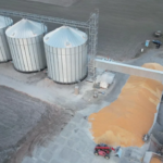 Власна зерносушарка: як знизити втрати врожаю та підвищити прибуток