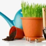 Календар дачника Чим зайнятися у квітні?