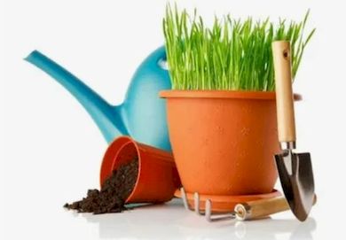 Календар дачника Чим зайнятися у квітні?