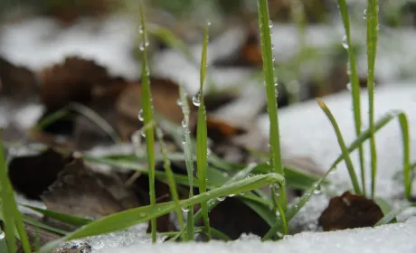 Богдан Вокальчук: “Біопрепарати – запорука стійкості, коли клімат і ризики стають звичним…