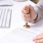 Український агросектор відстає за кількістю новостворених підприємств