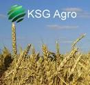 KSG Agro зібрала ранні зернові