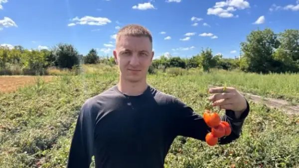 Хмельницький фермер вирощує ексклюзивні томати