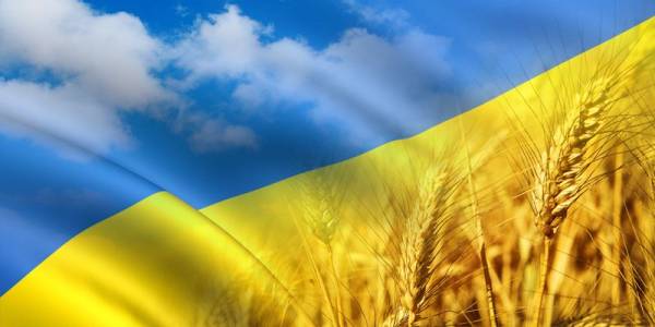 Українські компанії нарощують експорт IT-послуг: нові можливості для розвитку