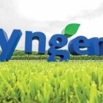 Syngenta наростила продажі, але втратила на прибутках у першому півріччі&hellip;