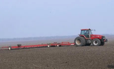 Аграрії боронують озимі, щоб відновити їхній ріст після зими