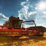 Українські землі дають врожай, який привласнюють інші