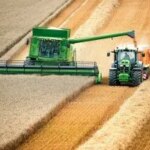 Зменшення посівів українського зерна загрожує світовій продовольчій безпеці