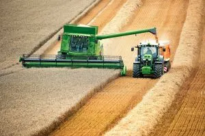 Зменшення посівів українського зерна загрожує світовій продовольчій безпеці