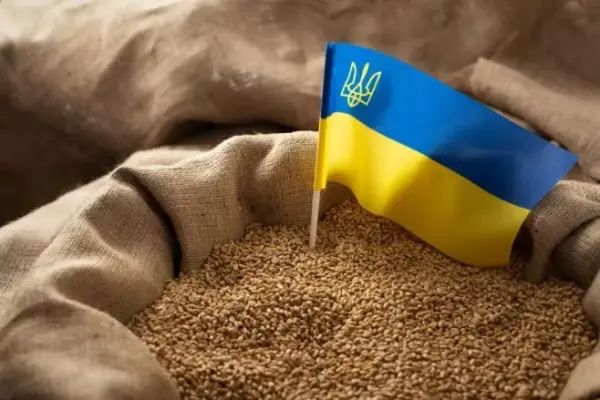 Аграрії України зібрали майже 32 мільйони тонн зерна