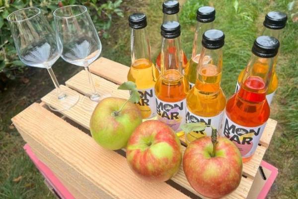 Monbar з трьома нагородами Лондона: закарпатський сидр підкорив світову арену