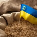 Україна нарощує зерновий експорт: що зміниться до серпня 2026 року