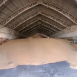 Ціни на пшеницю в Україні: аналіз та прогнози