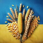 Уряд розширив граничні строки повернення валютної виручки за агроекспорт до&hellip;