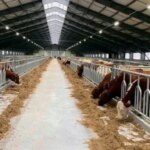 Фермерам виділили 100 мільйонів гривень на будівництво нових господарств