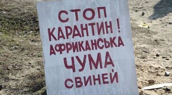В Одеській області через спалах АЧС запроваджено карантин