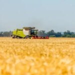 Україну накриє хвиля спеки: зростає ризик пожеж