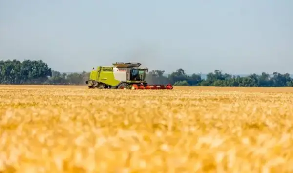 Україну накриє хвиля спеки: зростає ризик пожеж