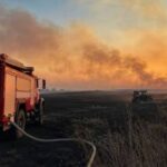 Росія систематично нищить майбутній врожай Херсонщини: фермери б’ють на сполох