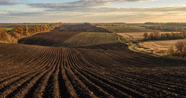 Аграрії розраховують орендну плату за землею за формулою Адама Сміта