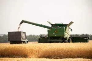 Жнива-2024: в Україні зібрали 5,63 мільйона гектарів ранніх зернових