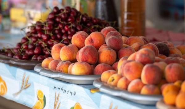 Український ринок підбиває підсумки сезону вишні та кісточкових – AgroTimes