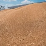 Пшениця дорожчає через блокаду Чорного моря