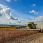 Українські аграрії зібрали 26 мільйонів тонн зернових