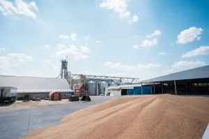 Україна шукає нові ринки збуту пшениці