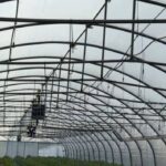 Овочівництво: витрати на гектар сягають 450 тис. грн