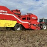 Французькі фермери прогнозують падіння врожаю картоплі на чверть через спеку