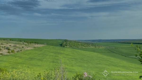 Експозиція та крутизна схилу: як гори контролюють ваш урожай